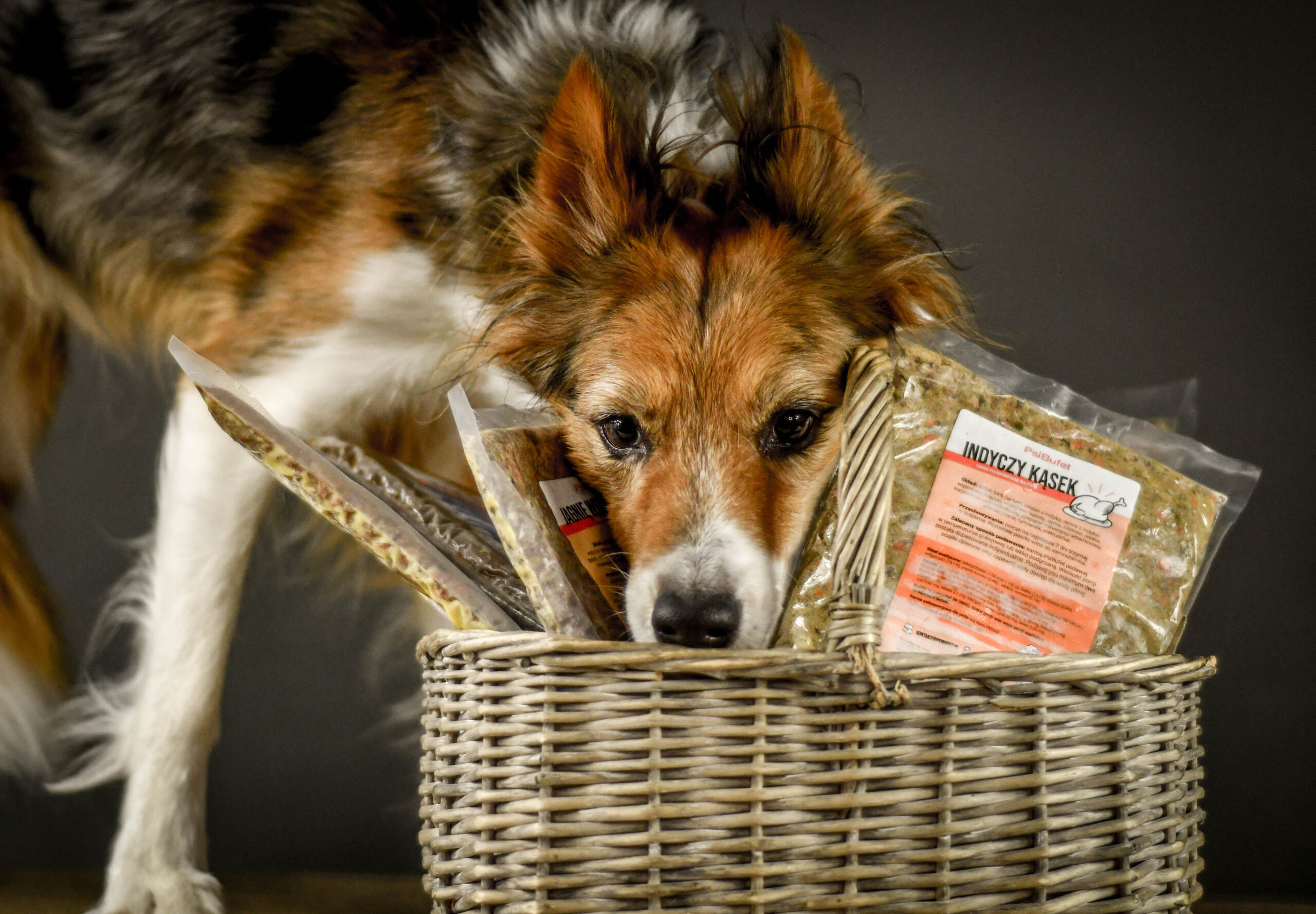 Psi Bufet: domowy obiad prosto pod Twoje drzwi! - Dog Press - portal miłośników psów